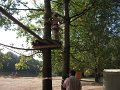 DSCF1009