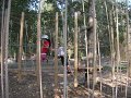 DSCF1041