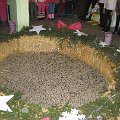 IMG_6190