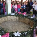 IMG_6193