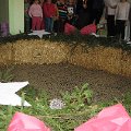 IMG_6198