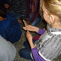 DSC00547