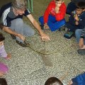 DSC00548