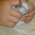 DSC00556