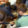 DSC00571
