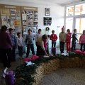 DSC00015