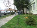 DSCF4417