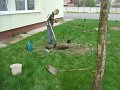 DSCF4422
