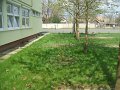 DSCF4433