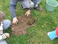 DSCF4439