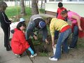 DSCF4443