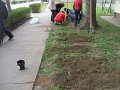 DSCF4445
