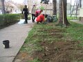 DSCF4446