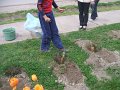 DSCF4454