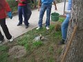 DSCF4460