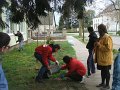 DSCF4461