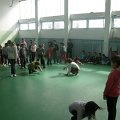 P1015610