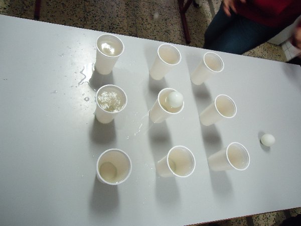 DSC00429